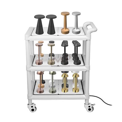 QI 36 Port charging trolley